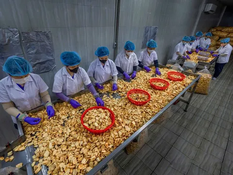 Đồng Tháp: Hơn 9,4 tỉ đồng hỗ trợ các đề án khuyến công địa phương