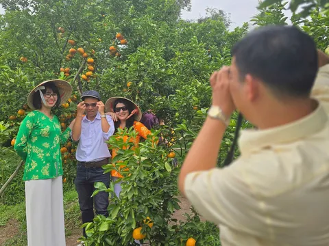 Đồng Tháp: Nâng cao chất lượng dịch vụ, bảo đảm cuộc sống cho người dân tham gia hoạt động du lịch