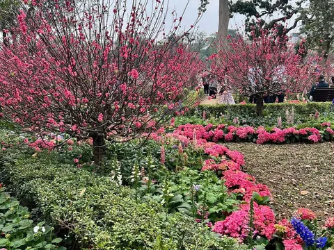 Mùng 4 Tết: Miền Bắc ấm dần, miền Trung còn mưa rải rác