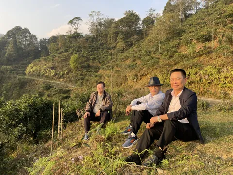 Tả Phìn Hồ và câu chuyện của một thầy thuốc người Dao