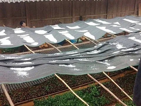 Đêm nay không khí lạnh tràn về, cảnh báo dông lốc, mưa đá diện rộng