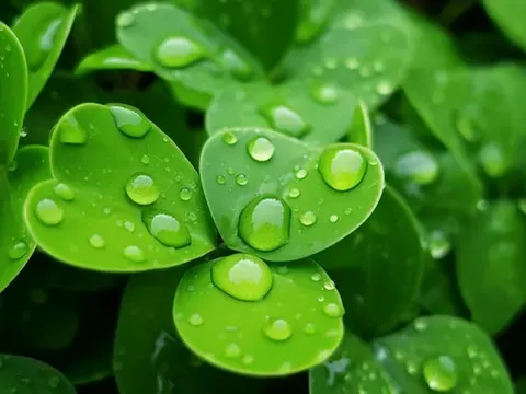 Thời tiết hôm nay (5/5): Nắng nhẹ, mưa dông rải rác về chiều tối