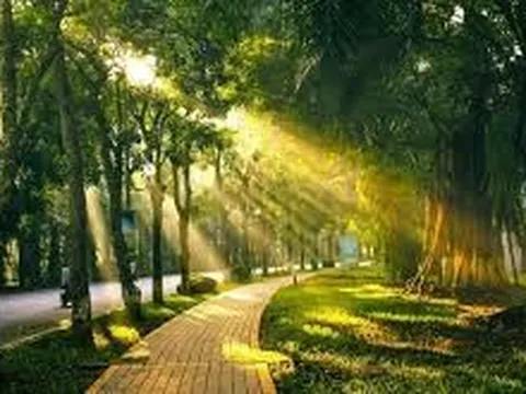 Hà Nội tăng nhiệt, trời nắng trở lại trong ngày 10/6