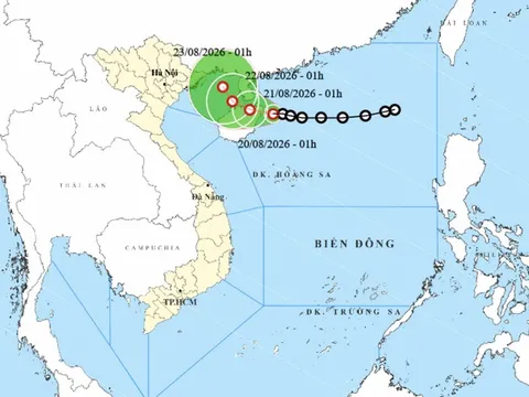 Áp thấp nhiệt đới hướng vào Vịnh Bắc Bộ, ngư dân cần chủ động tránh vùng nguy hiểm