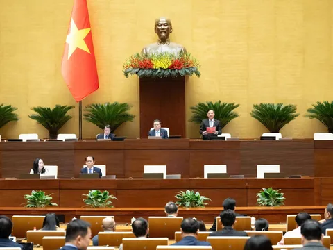 Tuần làm việc thứ 7, Quốc hội thảo luận về công tác nhiệm kỳ của Chủ tịch nước, Chính phủ