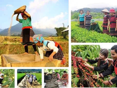 Tích hợp ba chương trình mục tiêu quốc gia để tập trung, phân bổ nguồn lực hài hòa, tăng linh hoạt cho các vùng khó khăn