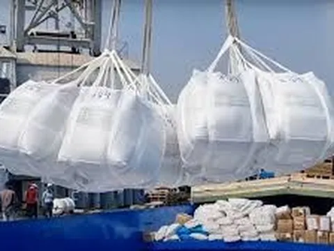 Tìm dư địa tăng trưởng xuất khẩu gạo từ các FTA và thị trường mới