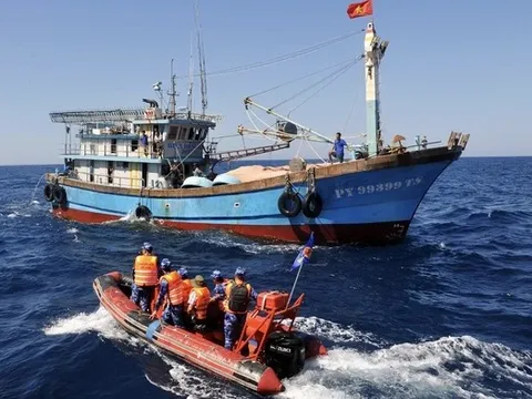 Sử dụng tối đa các công cụ để chống khai thác IUU và rà soát, đề xuất công cụ mới