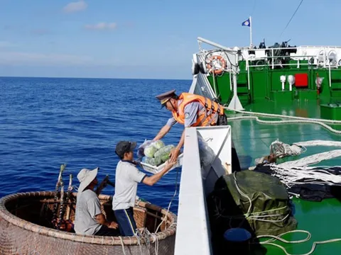 Thủ tướng yêu cầu 15/22 địa phương có kế hoạch chuyển đổi nghề bền vững cho ngư dân