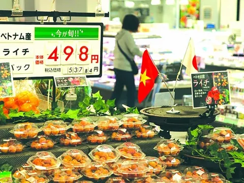 Việt Nam duy trì sức hấp dẫn, tạo niềm tin cho nhà đầu tư Nhật Bản