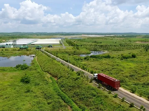 Phát triển kinh tế carbon thấp với lợi thế "rừng vàng, biển bạc"