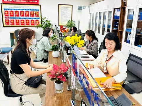Lao động hợp đồng thực hiện nhiệm vụ công chức được hưởng chế độ gì?