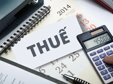 Định hướng cải cách thuế nhằm nuôi dưỡng nguồn thu trung – dài hạn