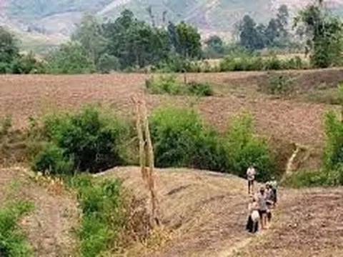 Đất khai hoang có xin cấp Giấy chứng nhận, có được công nhận quyền sử dụng không?