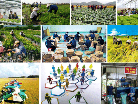 Công bố mức sống tối thiểu hằng năm làm căn cứ xác định các chuẩn chính sách xã hội