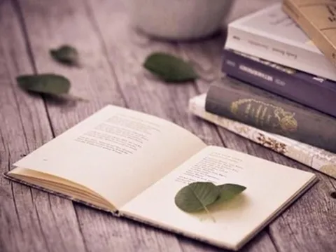 Xung đột giá trị và bản lĩnh nhà văn