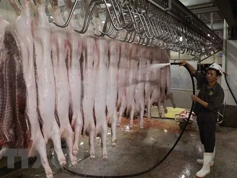 Công điện về kiểm soát giết mổ, tăng cường kỷ luật, kỷ cương trong thực thi công vụ