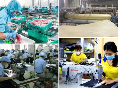 Vạch trần luận điệu sai trái về sự đối lập giữa kinh tế tư nhân và kinh tế Nhà nước