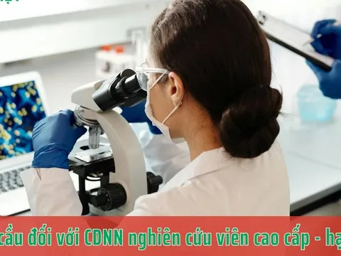 Tiêu chuẩn, điều kiện đặc cách thăng hạng nghiên cứu viên cao cấp?