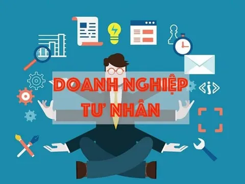 Cần thúc đẩy mạnh cơ chế Nhà nước 'đặt hàng' doanh nghiệp tư nhân