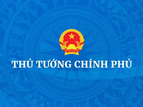 Thủ tướng Chính phủ có những quyền hạn, nghĩa vụ, trách nhiệm gì?