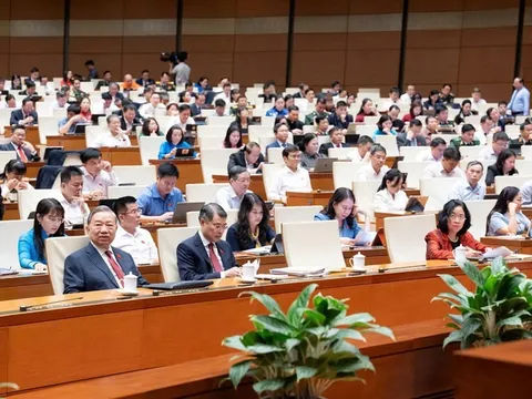 Rà soát các nội dung thuế có tính biến động cao, nghiên cứu sửa đổi toàn diện các luật về thuế