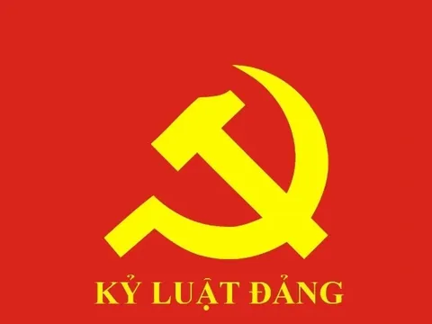 Ban Bí thư xem xét, thi hành kỷ luật đảng viên vi phạm