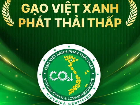 Gạo Việt xanh, phát thải thấp - thương hiệu của chất lượng, tính minh bạch và trách nhiệm môi trường