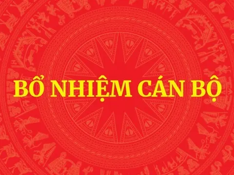Bổ nhiệm Trợ lý Thủ tướng, Phó Thủ tướng Thường trực