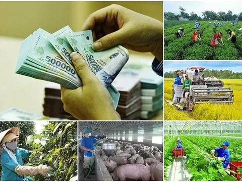 Chỉ thị về tập trung nguồn lực, đẩy nhanh tiến độ giải ngân vốn Chương trình mục tiêu Quốc gia năm 2026