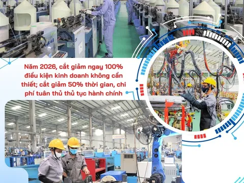 Cắt giảm điều kiện kinh doanh sẽ tạo ra tác động rất quan trọng cho nền kinh tế