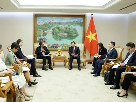 Giám đốc IMF khu vực Châu Á - Thái Bình Dương đánh giá cao phản ứng chính sách hiệu quả của Việt Nam