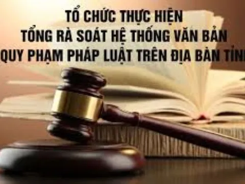 Nhiệm vụ tổng rà soát hệ thống văn bản quy phạm pháp luật thuộc trách nhiệm của cơ quan, đơn vị, địa phương