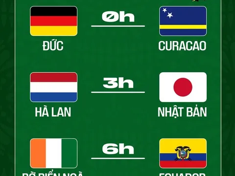 Nhận định 4 trận đấu tại World Cup 2026 ngày 15/6: Đại diện Châu Á là đội tuyển Nhật Bản được mong đợi có kết quả tốt