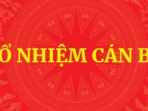 Bổ nhiệm tân Phó Chủ nhiệm Văn phòng Chính phủ