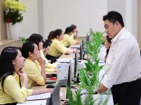Quy định xếp lương cho viên chức theo vị trí việc làm?