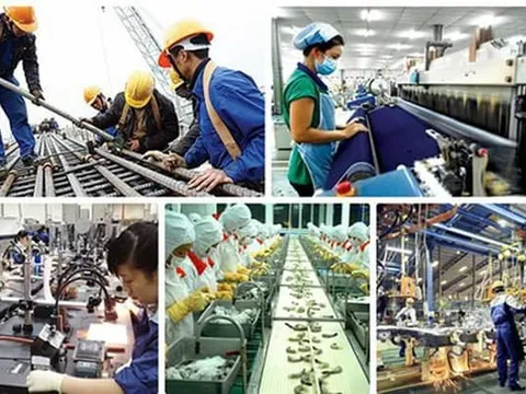 Giám đốc Quốc gia ADB: Việt Nam tăng trưởng tích cực nhưng cần nhanh chóng nâng cao năng suất