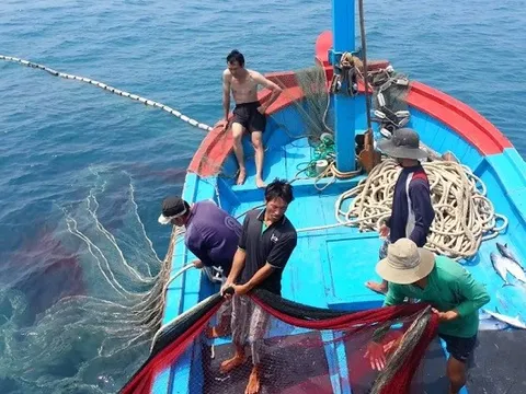 Phó Thủ tướng Hồ Quốc Dũng: Dồn toàn bộ công sức, nguồn lực để gỡ 'thẻ vàng' IUU trong năm 2026