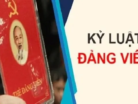 Ban Bí thư xem xét khai trừ khỏi Đảng, đảng viên vi phạm