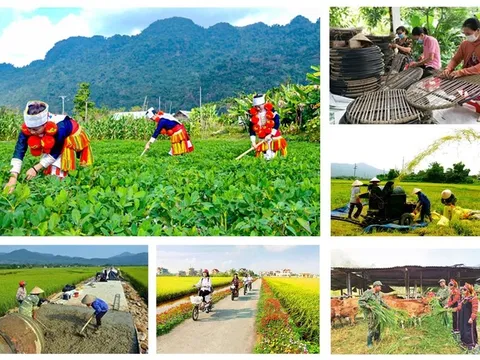 Tích hợp 4 Chương trình mục tiêu quốc gia đảm bảo nguồn lực được phân bổ rõ ràng, trọng tâm