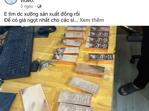 “ Đồng thỏi ” khi kim loại công nghiệp khoác áo đầu tư