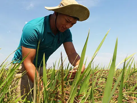 Chàng kỹ sư Nam Định với sáng kiến tiết kiệm 3.000 tỉ đồng