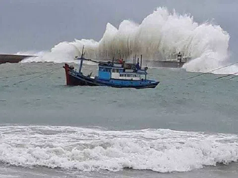 Chủ động ứng phó với khả năng áp thấp, bão trên Biển Đông