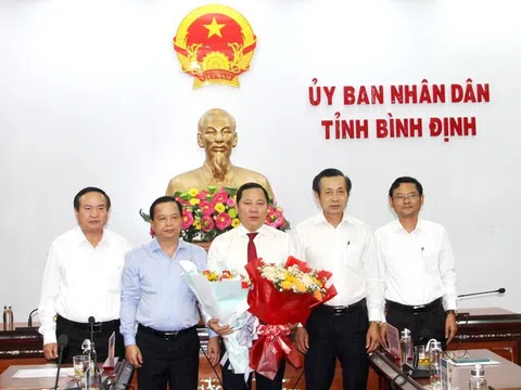 Ông Nguyễn Tuấn Thanh phụ trách, điều hành hoạt động của UBND tỉnh Bình Định