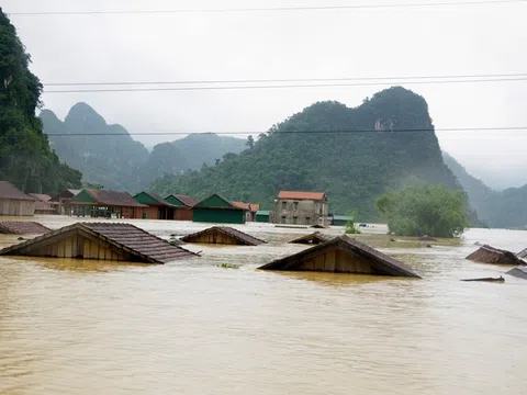 Chủ động ứng phó với áp thấp nhiệt đới