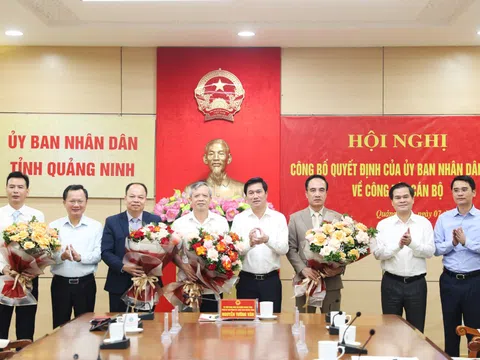 Bổ nhiệm nhân sự mới tại Quảng Ninh, Đà Nẵng