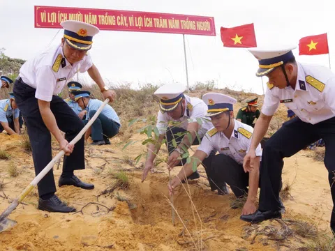 Lữ đoàn 146 hưởng ứng Chương trình trồng 1 tỷ cây xanh do Thủ tướng phát động