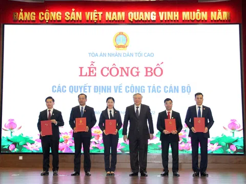 Tòa án nhân dân tối cao, Văn phòng Chính phủ bổ nhiệm nhân sự mới