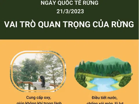 (Infographic) Ngày quốc tế Rừng 21/3/2023: "Rừng và sức khỏe"