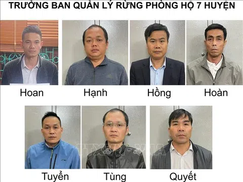 Bắt giữ 15 cán bộ, công chức ở Lai Châu đưa, nhận hối lộ khi thanh tra các dự án trồng rừng